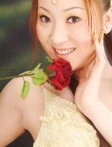 郁金香最新在线视频播放,最新在线视频带你领略春日花潮  第3张