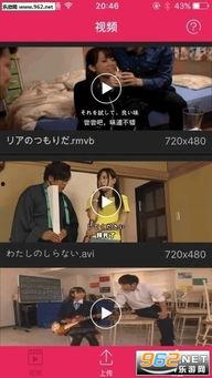 青青醉地鲁在线视频,一场穿越时空的鲁文化盛宴  第3张