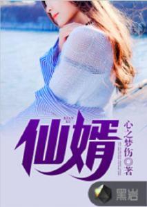 仙婿在线视频小说阅读,穿越时空的奇幻姻缘  第1张