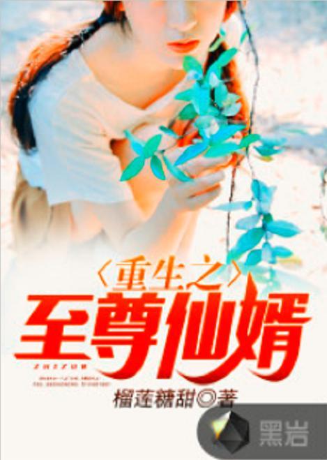 仙婿在线视频小说阅读,穿越时空的奇幻姻缘  第2张