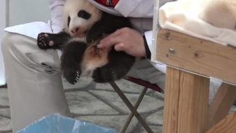 另类舔肛在线视频  第2张