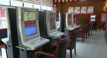 东莞中福在线视频  第2张