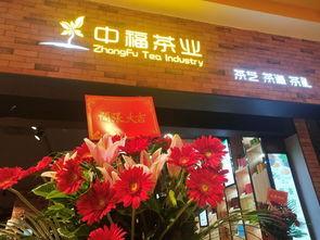 东莞中福在线视频  第3张